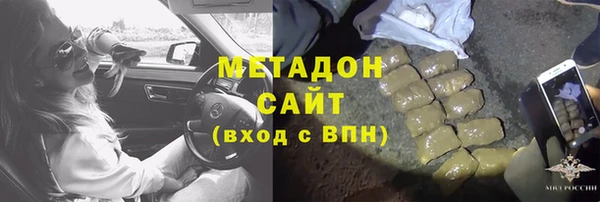 прущие грибы Аркадак