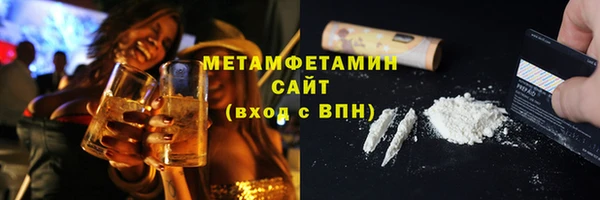 прущие грибы Аркадак