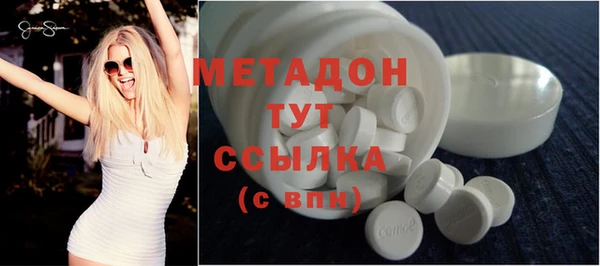 прущие грибы Аркадак
