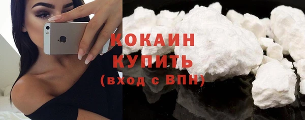 прущие грибы Аркадак