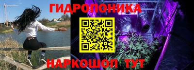 молекула духа Чебоксары