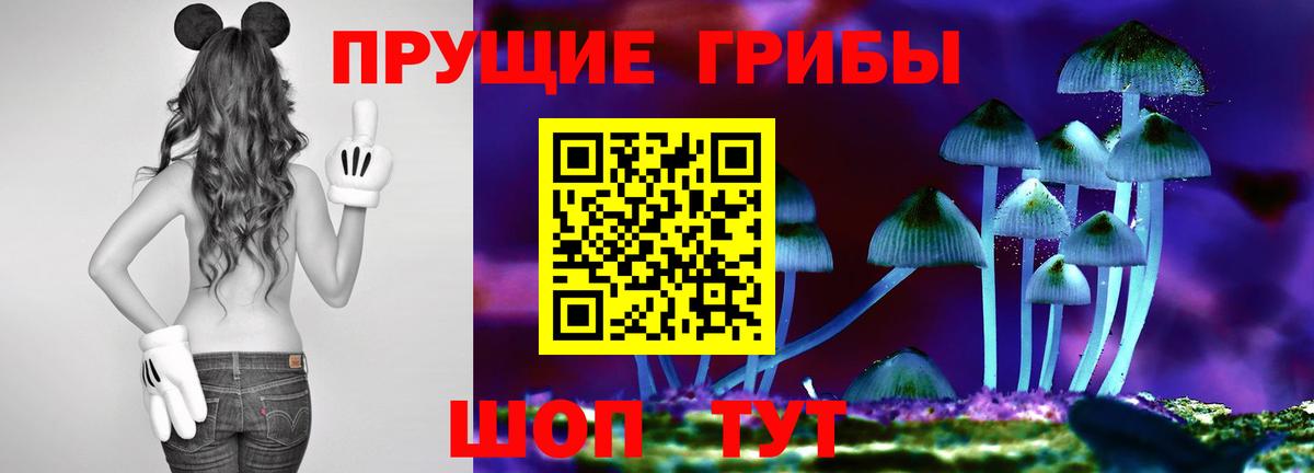 Саки  Псилоцибиновые грибы MAGIC MUSHROOMS  Вход с VPN 