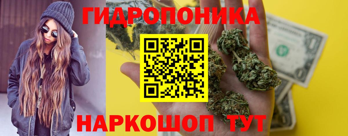 Каннабис индика Саки